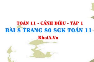 Bài 8 trang 80 SGK Toán 11 tập 1 Cánh Diều